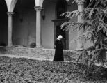 Foto Papa Genova_02